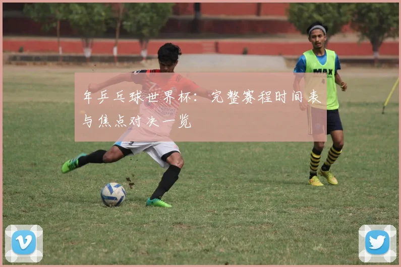 年乒乓球世界杯：完整赛程时间表与焦点对决一览